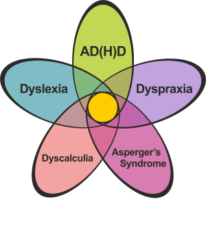 Dyslexia, AD(H)D, Dyspraxia, Dyscalculia, Asperger's Syndrome