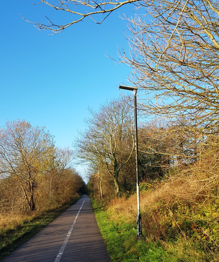 view along a cycle path with trees on either side.